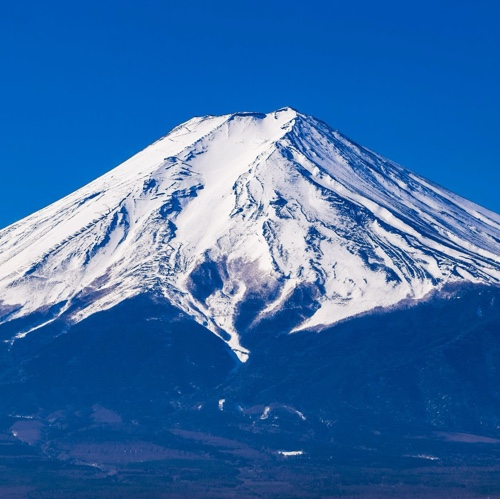 男児の富士山置き去り事件、誰が悪い？