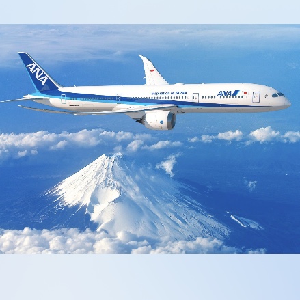 飛行機乗ったことある？✈️